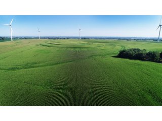 Bureau County, Illinois farmland - LAND AND WIND RIGHTS AUCTION - 337+/- ACRES IN 4 TRACTS IN BUREAU COUNTY, ILLINOIS